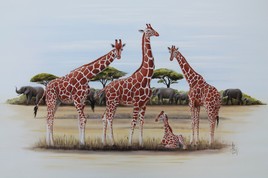 S&eacute;r&eacute;nit&eacute; Africaine