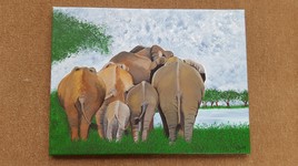 troupeau d'éléphants