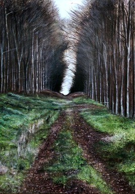 Forêt d'Ermenonville