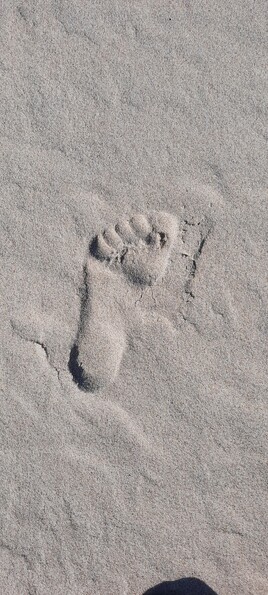 Le pied sous le sable
