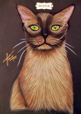 Collections de 12 &oelig;uvres  Chats Dieux  HESTIA