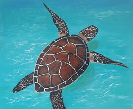 tortue marine