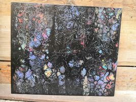 Si mon dragon avait un journal intime