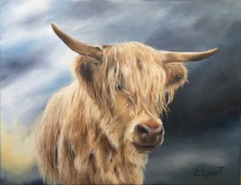 « Ginger» la Vache Highland 14x18