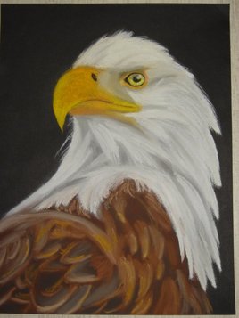 l'aigle p&ecirc;cheur