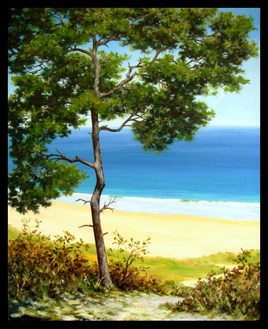 du haut du cap d'Erquy / from the top of the cape of Erquy