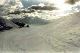 Chiens de tra&icirc;neau 4