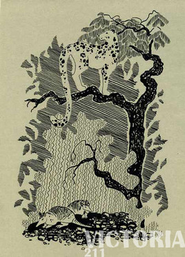 Porquoi il y avait  des tatous?