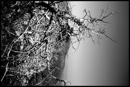 Coupure d'un mort