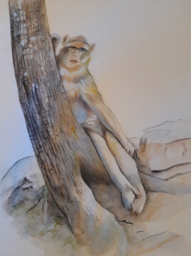 Qui est l'observée ?