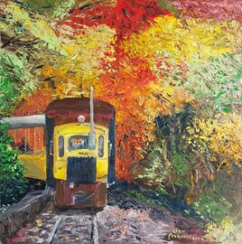 TRAIN D'HOZUKYO PARC