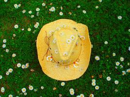 La nature reprend ses droits