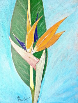 L'oiseau de paradis (Strelitzia) / Painting : a flower of Strelitzia