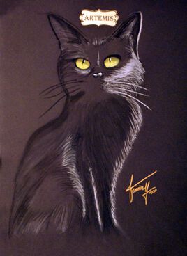 Collections de 12 &oelig;uvres  Chats Dieux   ARTEMIS