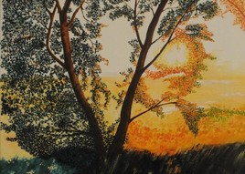 Soleil couchant &agrave; travers l'arbre aux amoureux