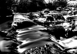 La s&egrave;vre nantaise