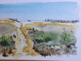 forêt de la Coubre tranchée 49