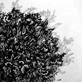 Broderie v&eacute;g&eacute;tale