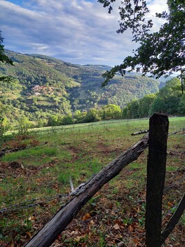 Balade vers Yzeron. (Rhône).