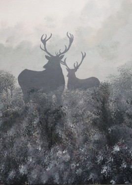 Misty Deers