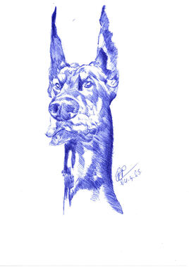Chien
