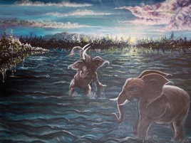 la nuit des &eacute;l&eacute;phants