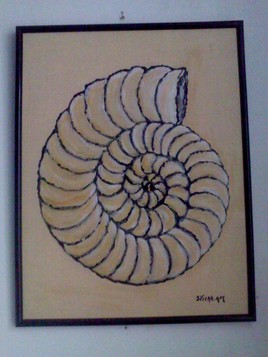 Tableau Coquillage AMMONITE