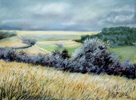Paysage