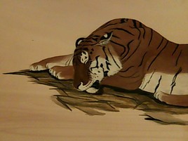 tigre