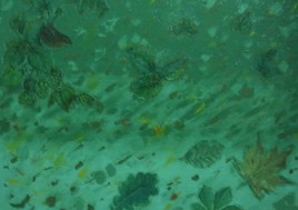 Petit oiseau dans la tempête!