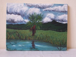 2001.07 - La savane llanos (Juillet)