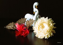 Nature morte aux cygnes