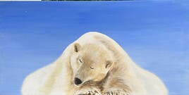 Sieste sur la banquise