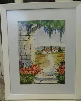 Provence - Les glycines