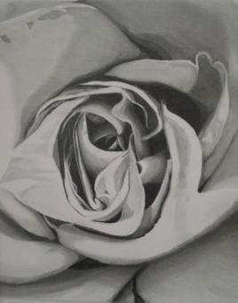 Au coeurs des Pétales