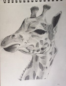 Girafe