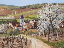 Vignes