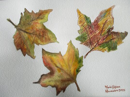 Feuilles d'automne