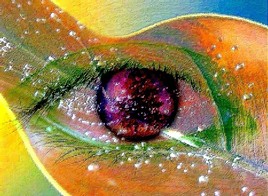 Eye illusion
