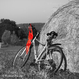 Le Soutien-Gorge Rouge