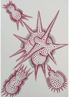 Cocolithophores Cocolithophores