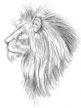 Lion (tête)