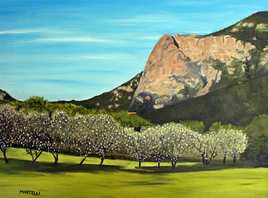 Les amandiers du mont Gozzi