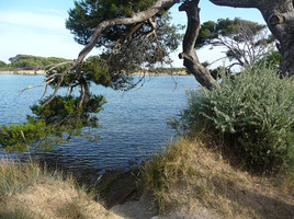 Les P'tits coins de Ricou...2