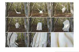 The walk of my brain