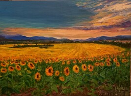 Tournesols au cr&eacute;puscule