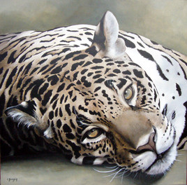 L&eacute;opard couch&eacute;