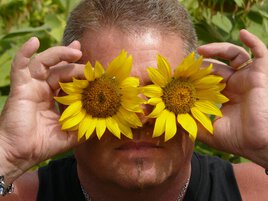 La vision de mes Tournesols