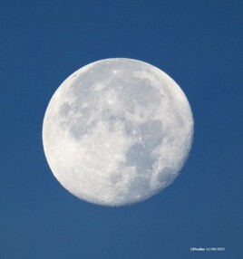 un coucou de Madame la Lune ce matin :)