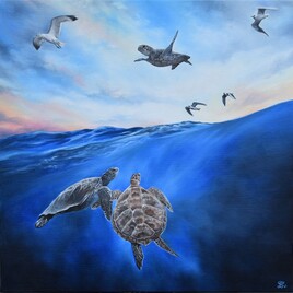 Le r&ecirc;ve des tortues